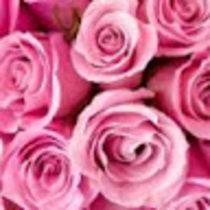 Meet your Posher, Daniela